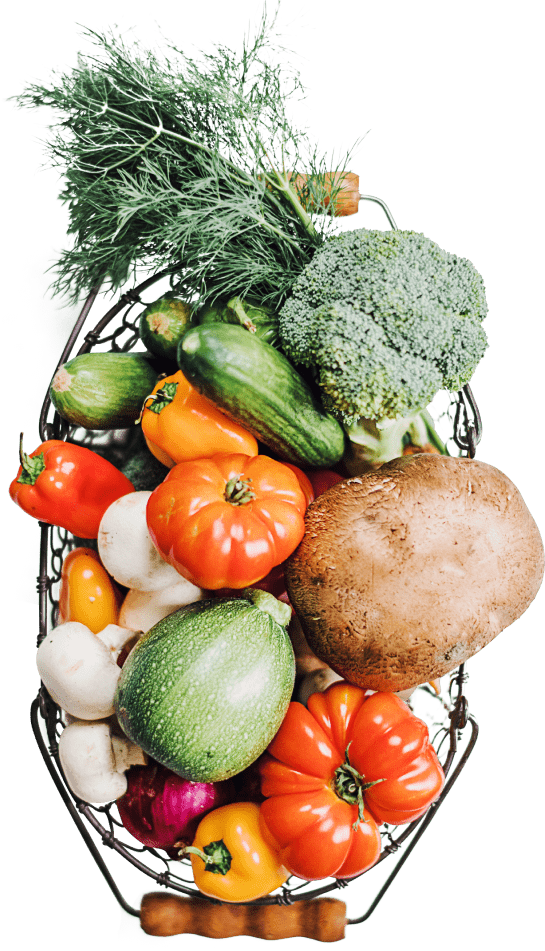 Farm-to-table-28